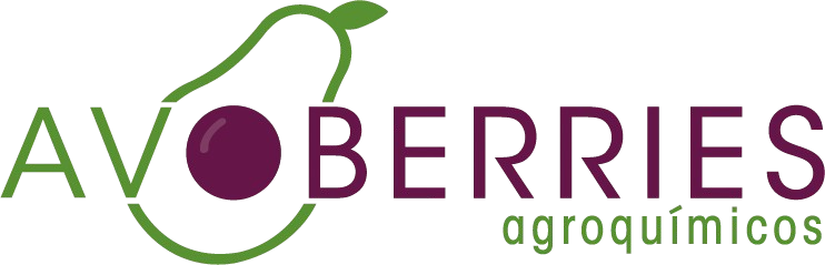 Logo Avoberries